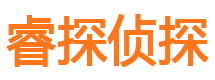 亭湖侦探公司